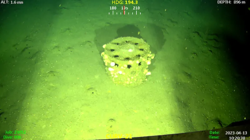 Image of a barrel-shaped object on the San Pedro Basin seafloor.